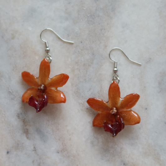 Doritis Phalaenopsis Flower Handmade Earrings - Orange